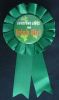 St Patricks - Irish Girl Rosette